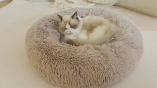 40-90cm Round Pet Bed for Large Dog, Super Soft Cat Bed, Long Plush Dog House for Medium Dog, Winter Warm Sleeping